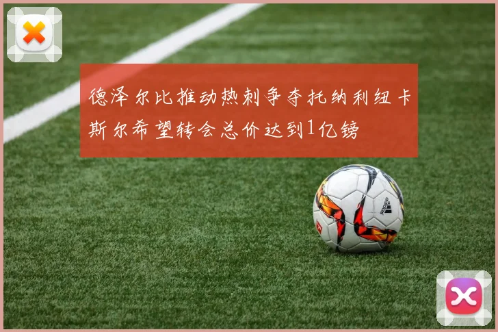 德泽尔比推动热刺争夺托纳利纽卡斯尔希望转会总价达到1亿镑