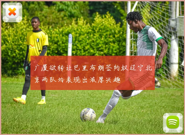 广厦欲转让巴里布朗签约权辽宁北京两队均表现出浓厚兴趣