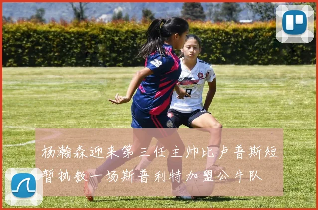 杨瀚森迎来第三任主帅比卢普斯短暂执教一场斯普利特加盟公牛队